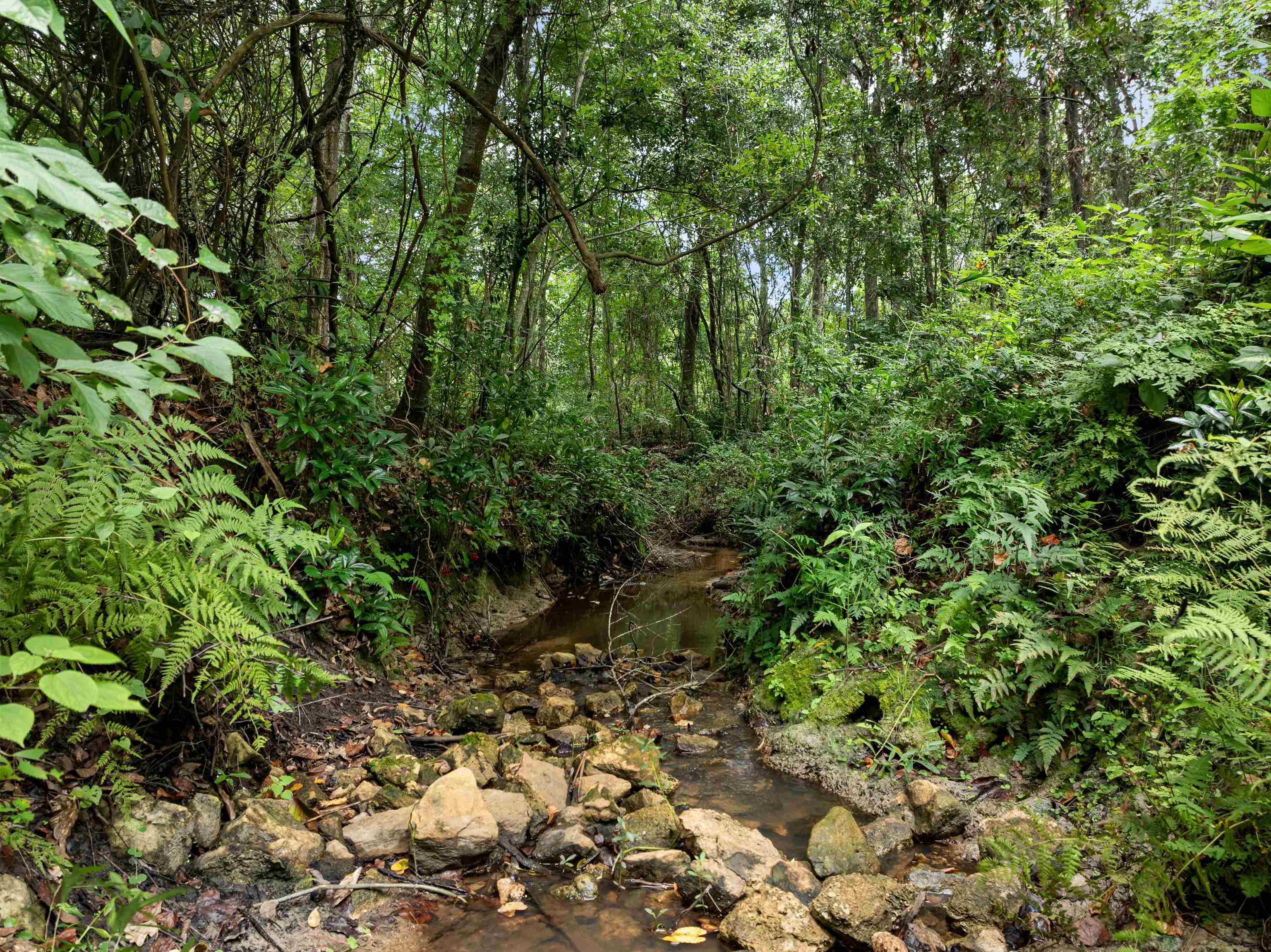 825 Rainey Run Monticello, FL 32344 - Photo 60 of 62
