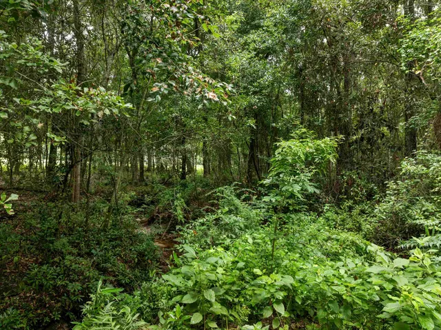 $995,000 | 825 Rainey Run, Monticello, FL 32344