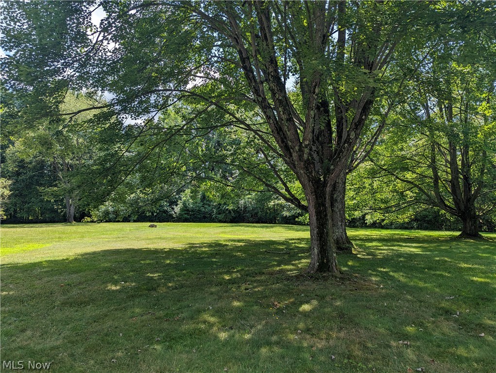 8127 Cedar Road Chesterland, OH 44026 - Photo 5 of 36 View of yard with some mature trees