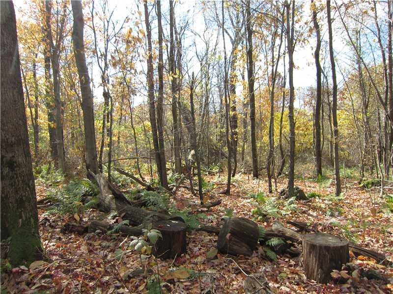120 Schroyer Road Mill Run, PA 15464 - Photo 1 of 7 Land/Lot.