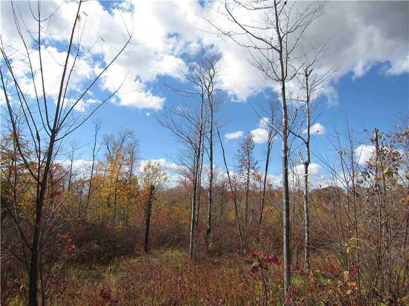 120 Schroyer Road Mill Run, PA 15464 - Photo 2 of 7 Land/Lot.