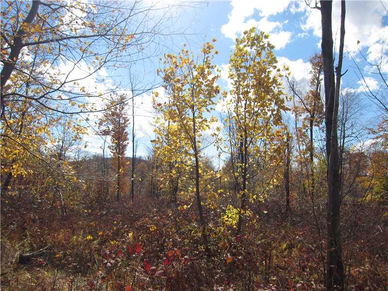 120 Schroyer Road Mill Run, PA 15464 - Photo 3 of 7 Land/Lot.