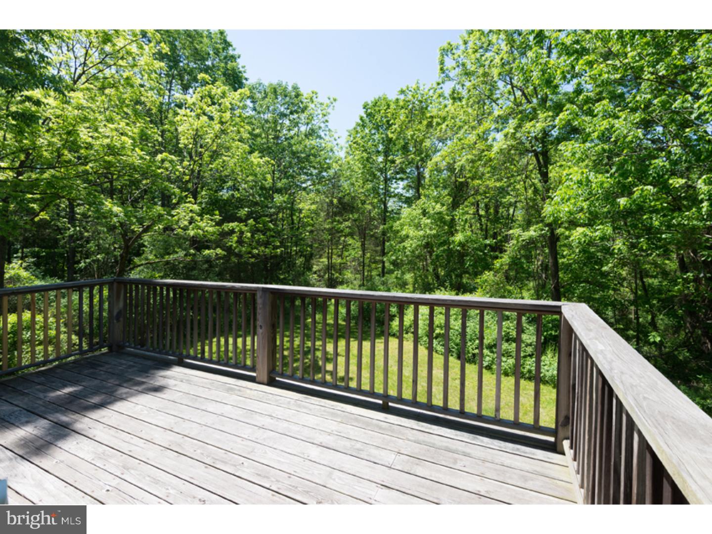779 Cafferty Road Upper Black Eddy, PA 18972 - Photo 20 of 24 Deck