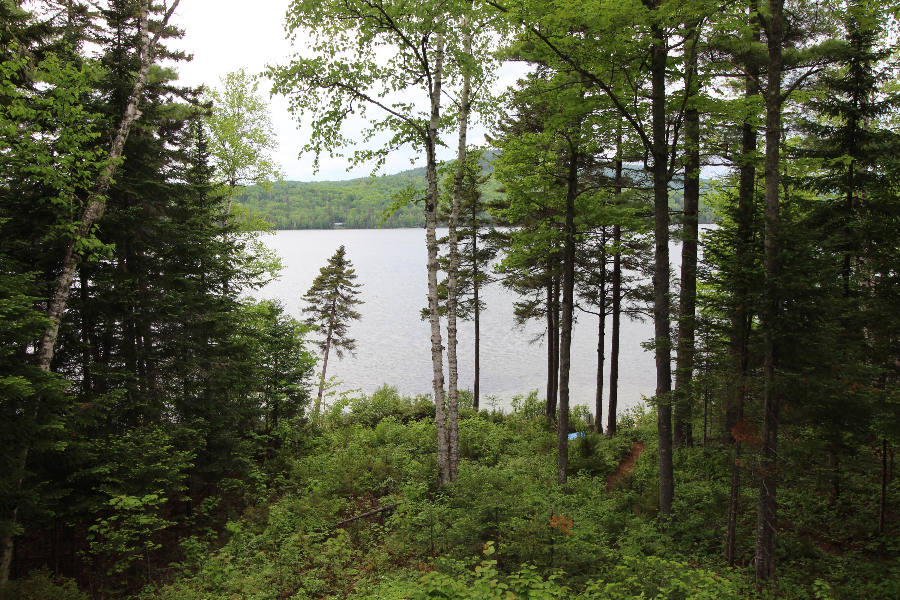 47 Hartland Road Rangeley, ME 04970 - Photo 51 of 55 IMG_2944