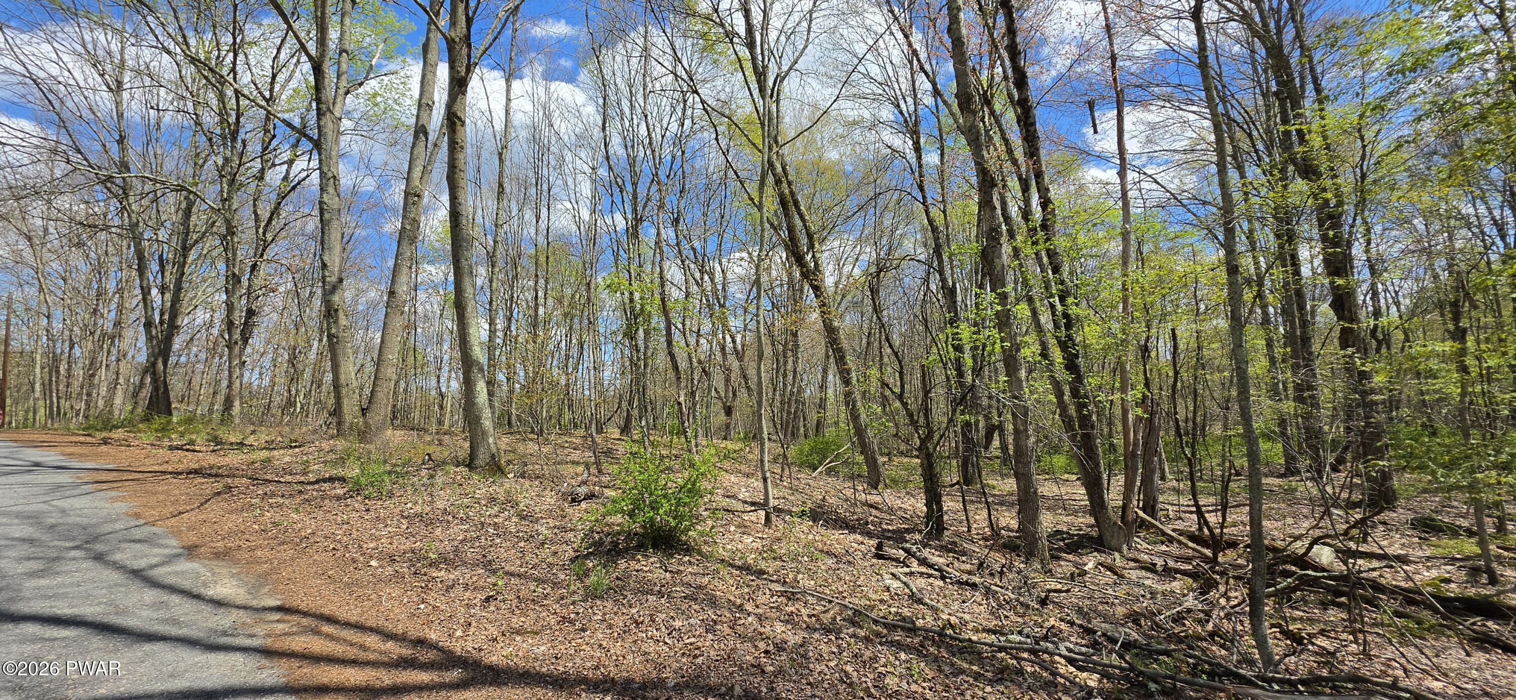Lot 17.14 Skipperene Road Narrowsburg, NY 12764 - Photo 5 of 15