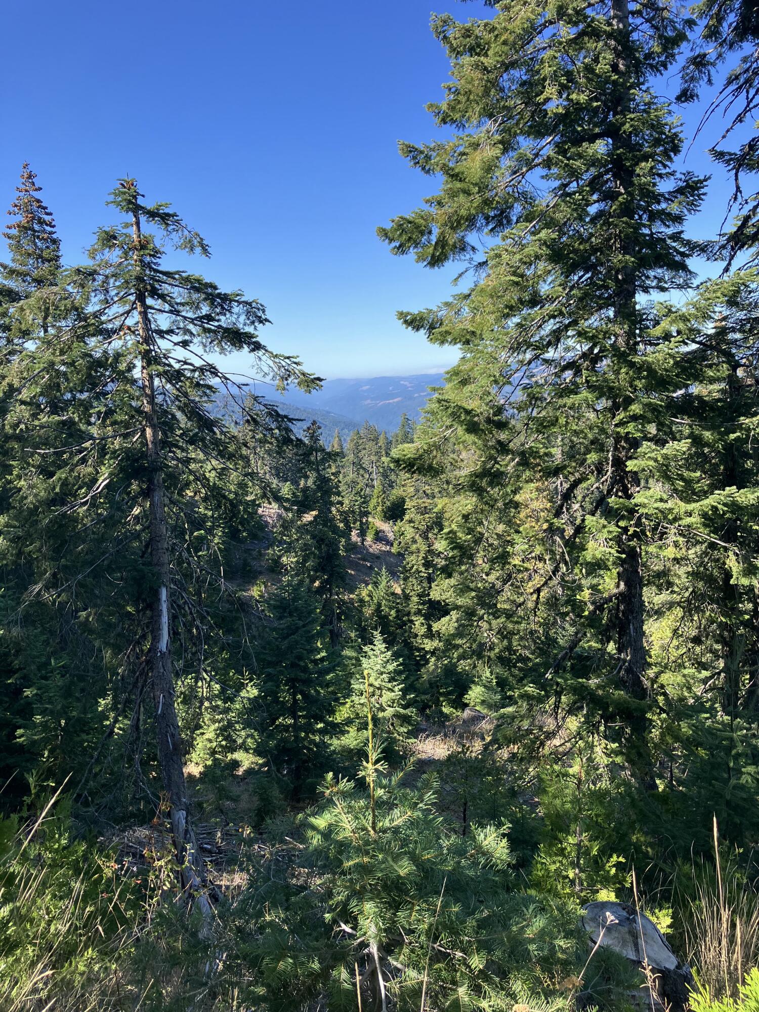 12350 Forest Service Rt 1 Road Kneeland, CA 95549 - Photo 28 of 28 Gallery Image 28