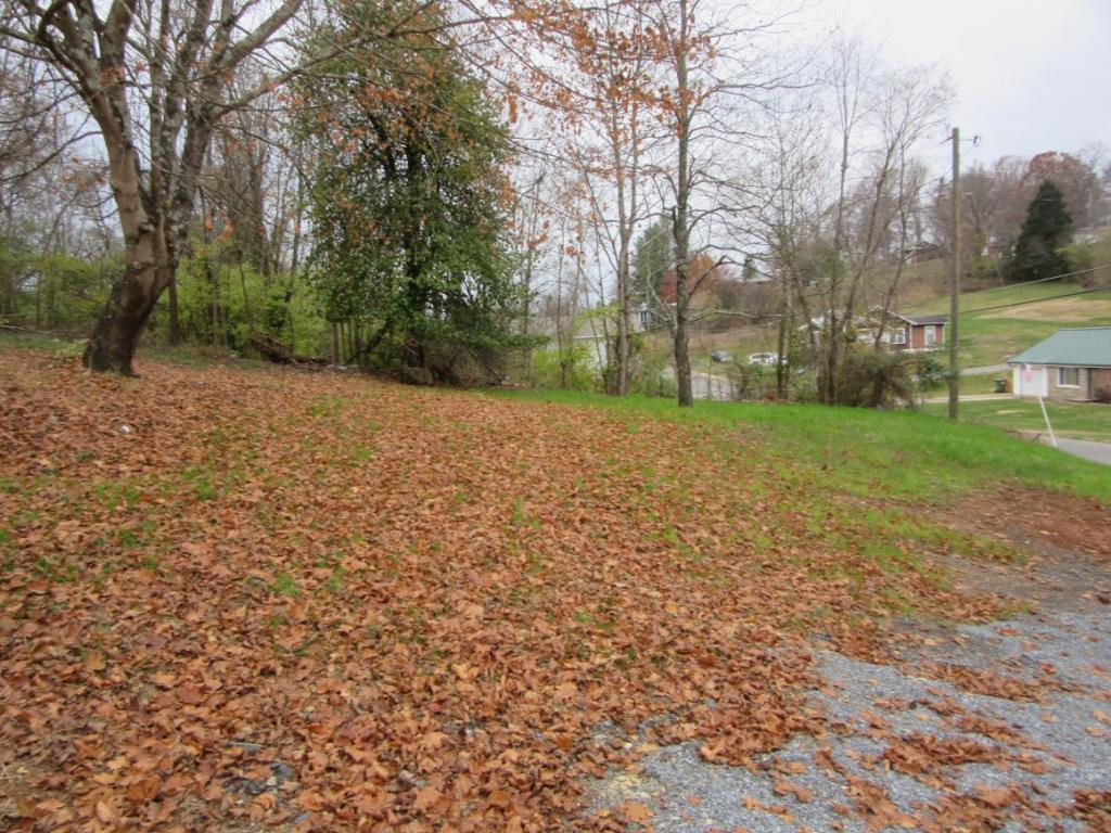 1816 Siam Road Elizabethton, TN 37643 - Photo 5 of 14 Photo 5