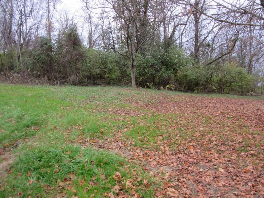 1816 Siam Road Elizabethton, TN 37643 - Photo 6 of 14 Photo 6