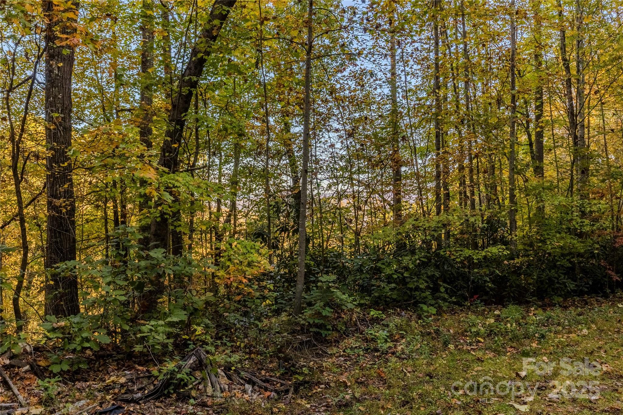 701 Treehouse Road Whittier, NC 28789 - Photo 34 of 36 Gallery Image 34