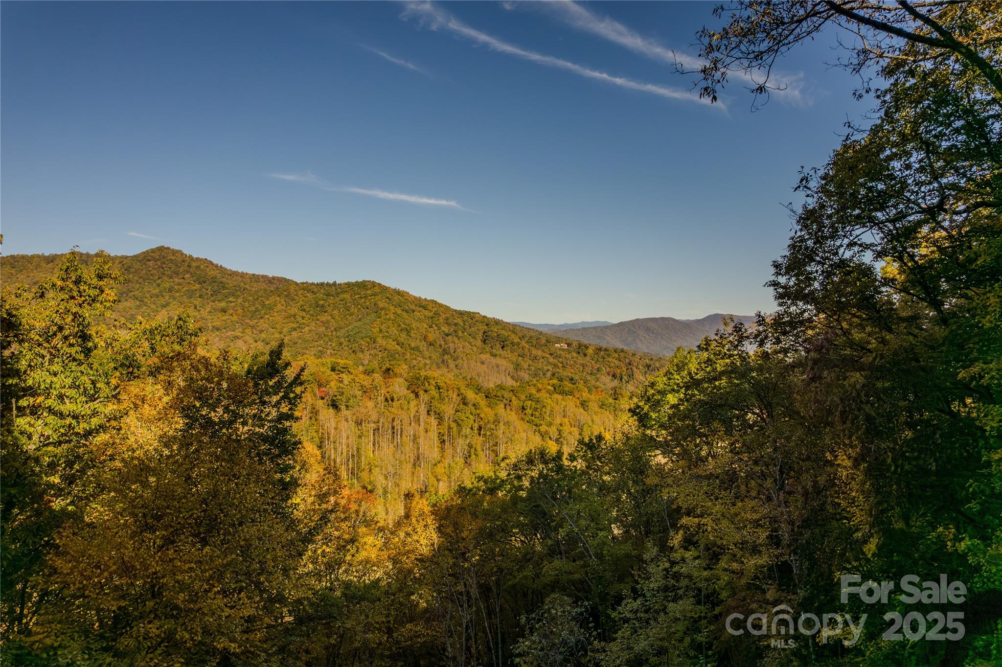 701 Treehouse Road Whittier, NC 28789 - Photo 36 of 36 Gallery Image 36