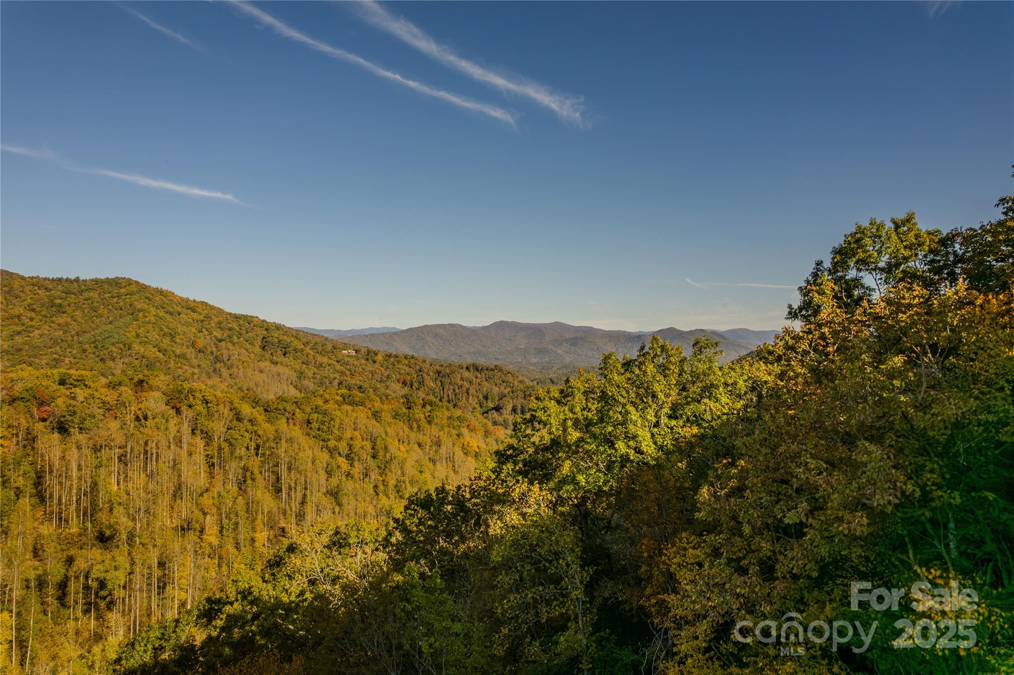 701 Treehouse Road Whittier, NC 28789 - Photo 5 of 36 Gallery Image 5