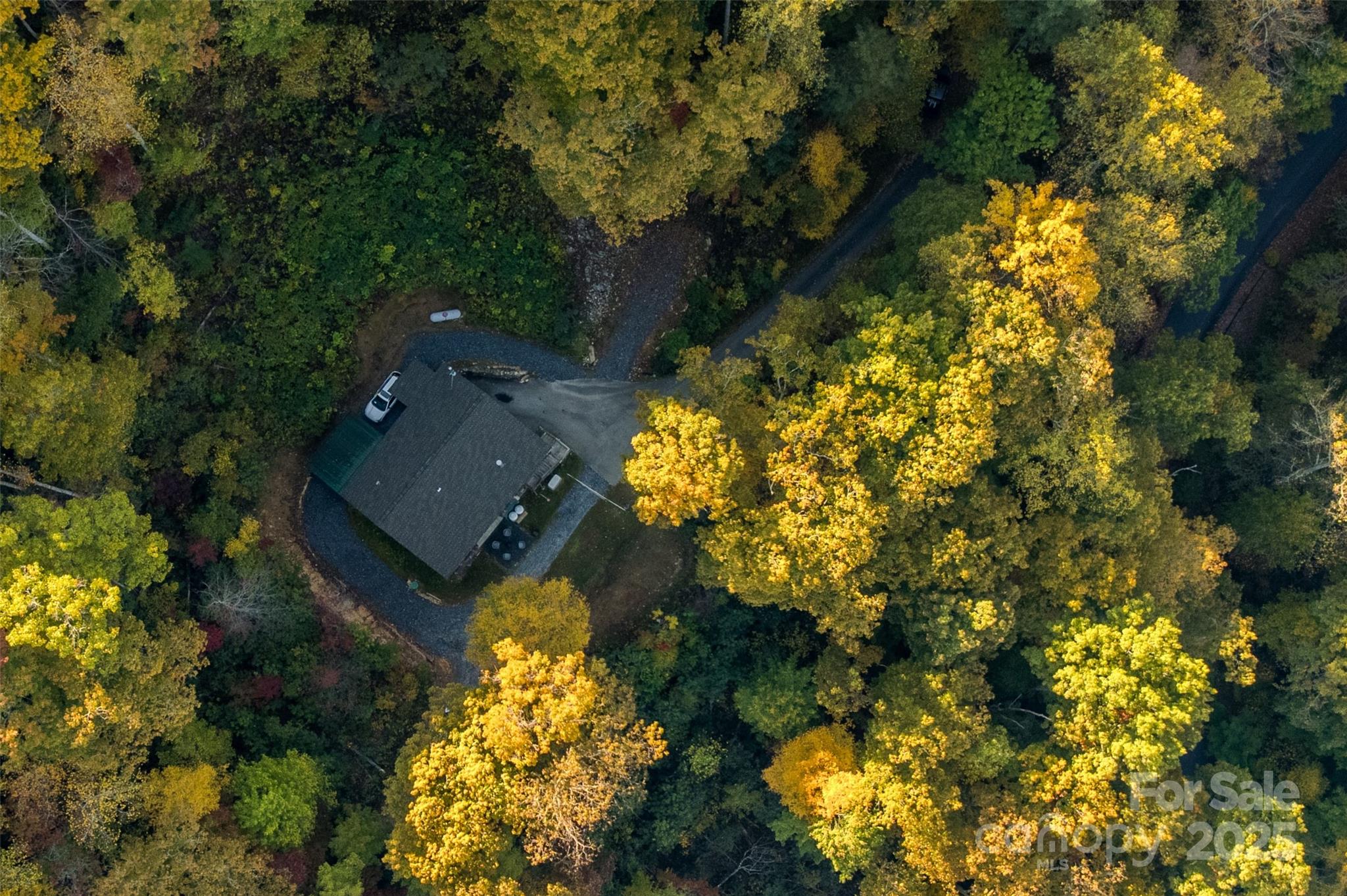 701 Treehouse Road Whittier, NC 28789 - Photo 9 of 36 Gallery Image 9