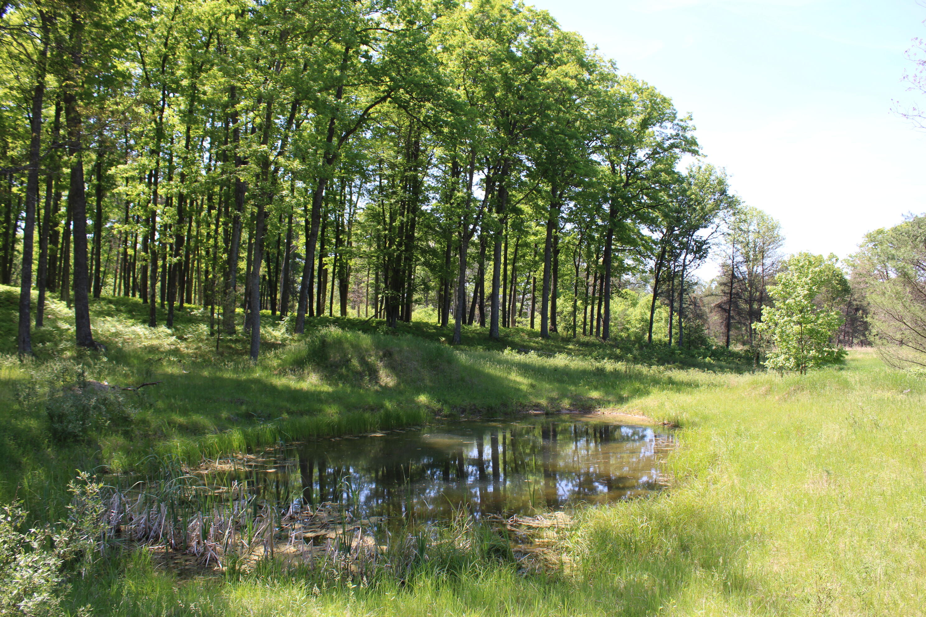 Vl Van Wagoner Road Curran, MI 48728 - Photo 1 of 1 IMG_0359