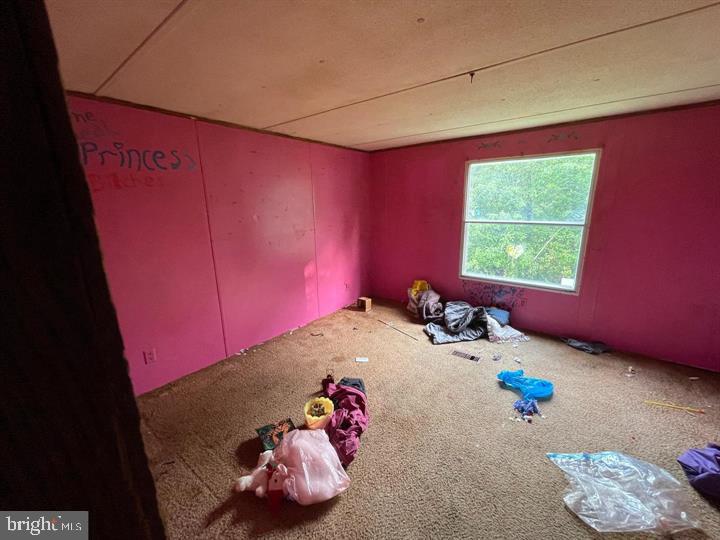 4844 Hutton Road Oakland, MD 21550 - Photo 8 of 10 Gallery Image 8