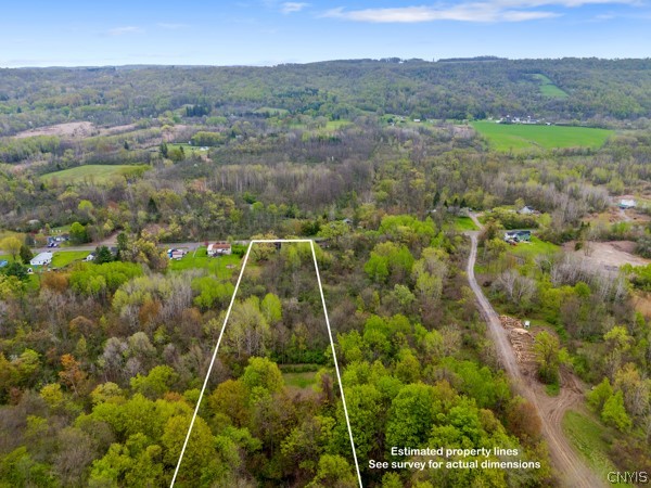 2255 Tully Farms Road LaFayette, NY 13159 - Photo 11 of 13