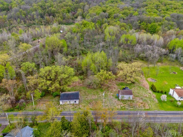 2255 Tully Farms Road LaFayette, NY 13159 - Photo 2 of 13