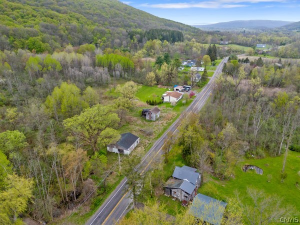 2255 Tully Farms Road LaFayette, NY 13159 - Photo 5 of 13