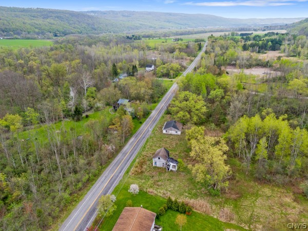 2255 Tully Farms Road LaFayette, NY 13159 - Photo 6 of 13