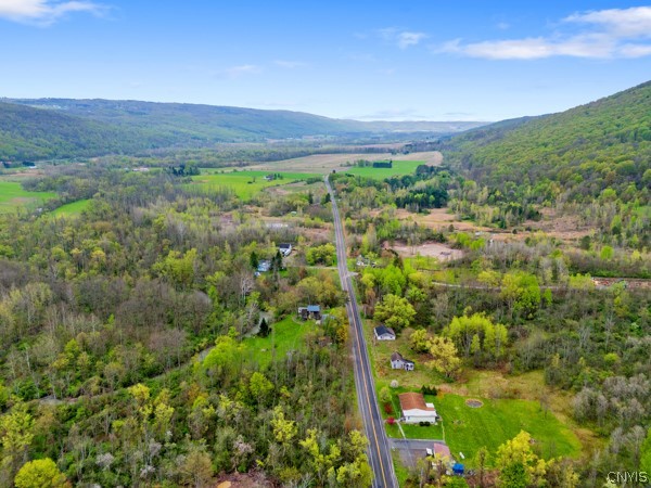 2255 Tully Farms Road LaFayette, NY 13159 - Photo 7 of 13