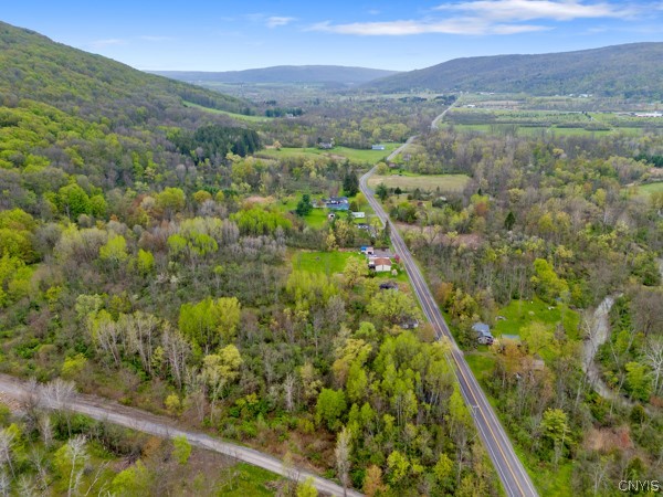2255 Tully Farms Road LaFayette, NY 13159 - Photo 8 of 13