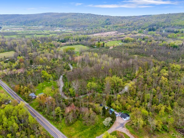 2255 Tully Farms Road LaFayette, NY 13159 - Photo 9 of 13