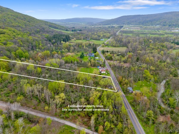 2255 Tully Farms Road LaFayette, NY 13159 - Photo 10 of 13