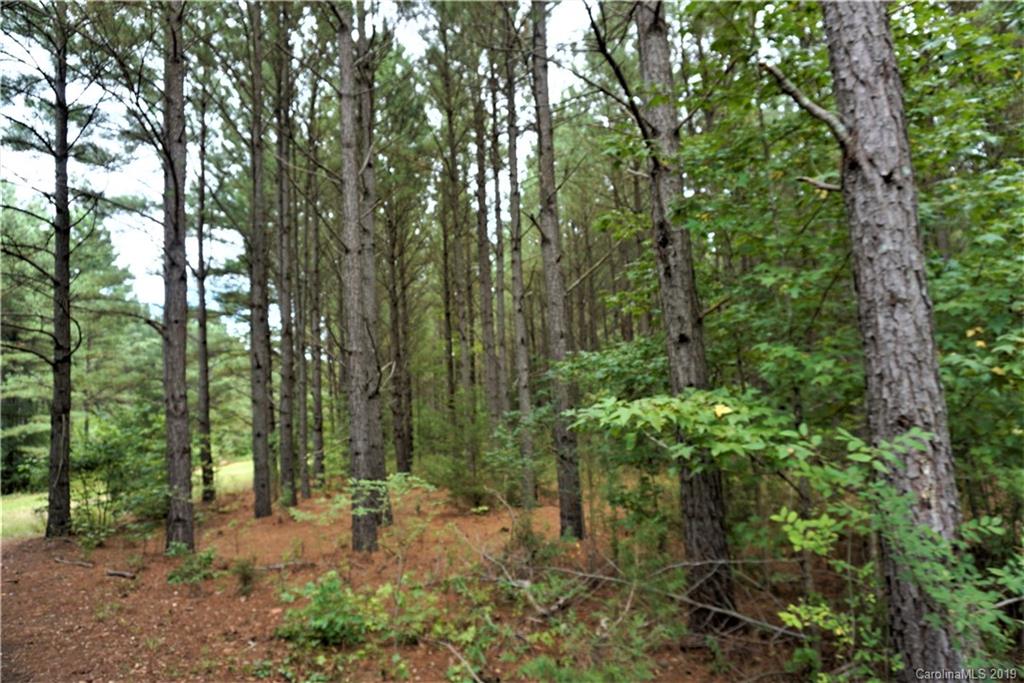 8.4-ac 8.4-ac Cameron Road Chester, SC 29706 - Photo 3 of 6