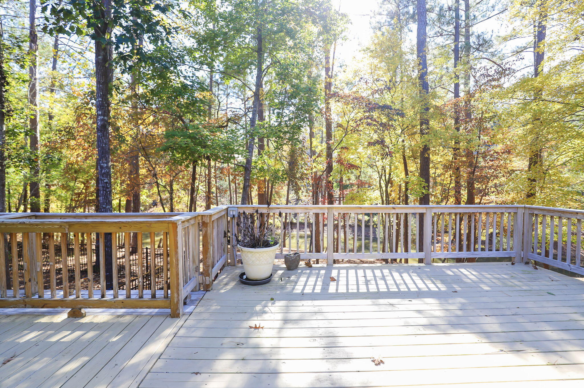 170 Grandview Drive McCormick, SC 29835 - Photo 36 of 44 36-web-or-mls-36-IMG_4948