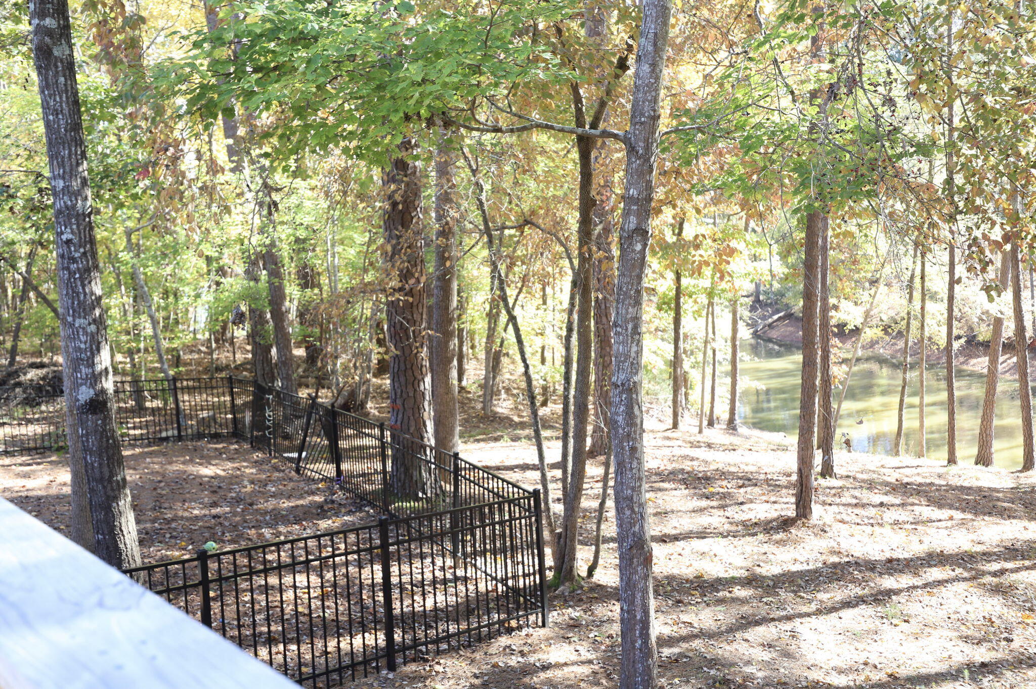 170 Grandview Drive McCormick, SC 29835 - Photo 39 of 44 39-web-or-mls-39-IMG_4954