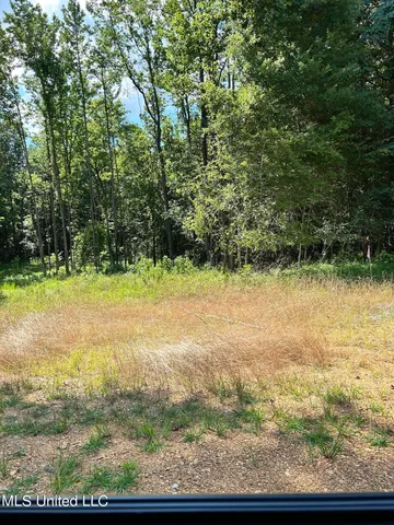 $260,000 | 5093 South S Highway, Hernando, MS 38632