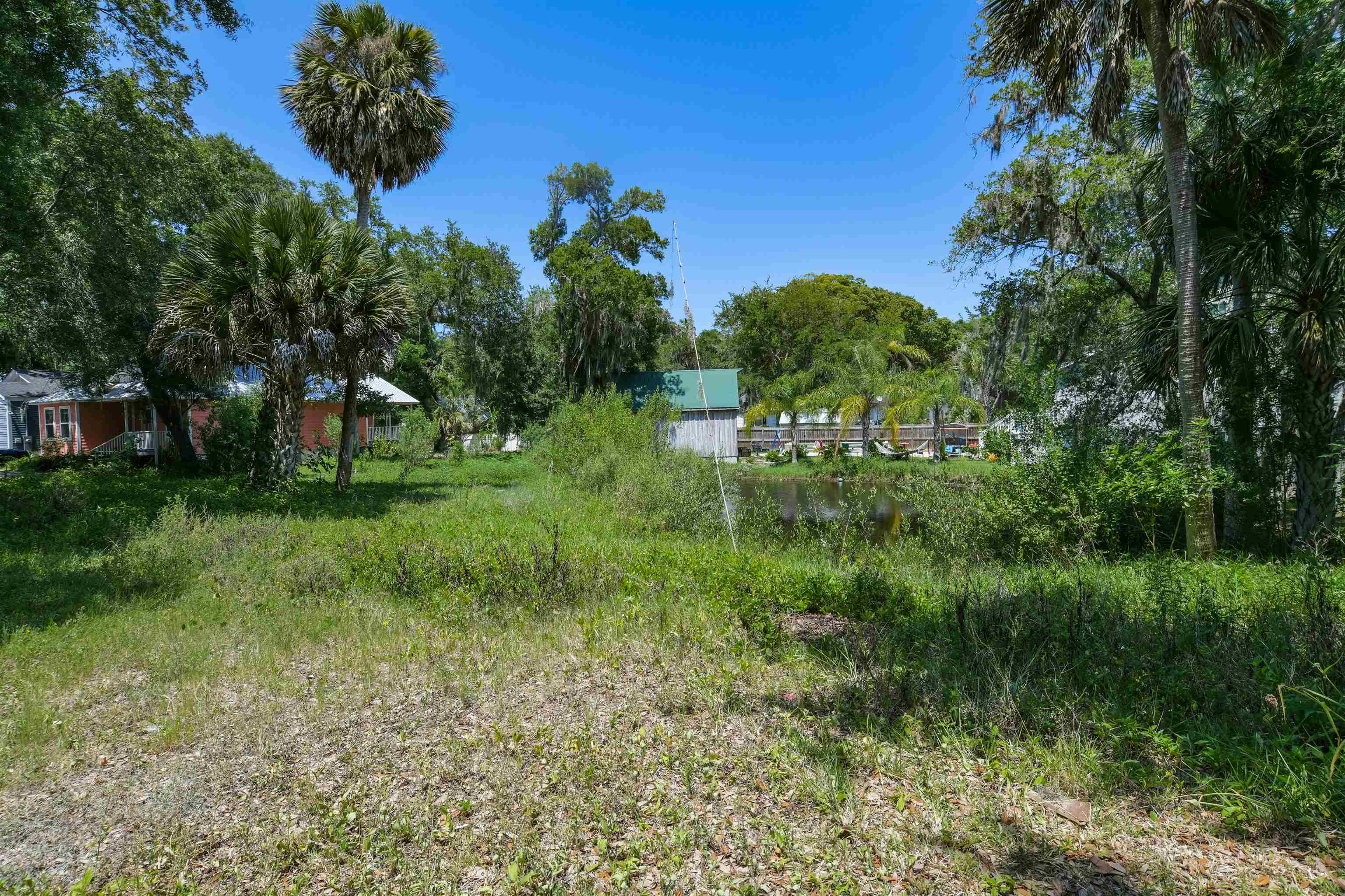 25 Davis Street St. Augustine, FL 32084 - Photo 11 of 13 a view of a garden with a tree