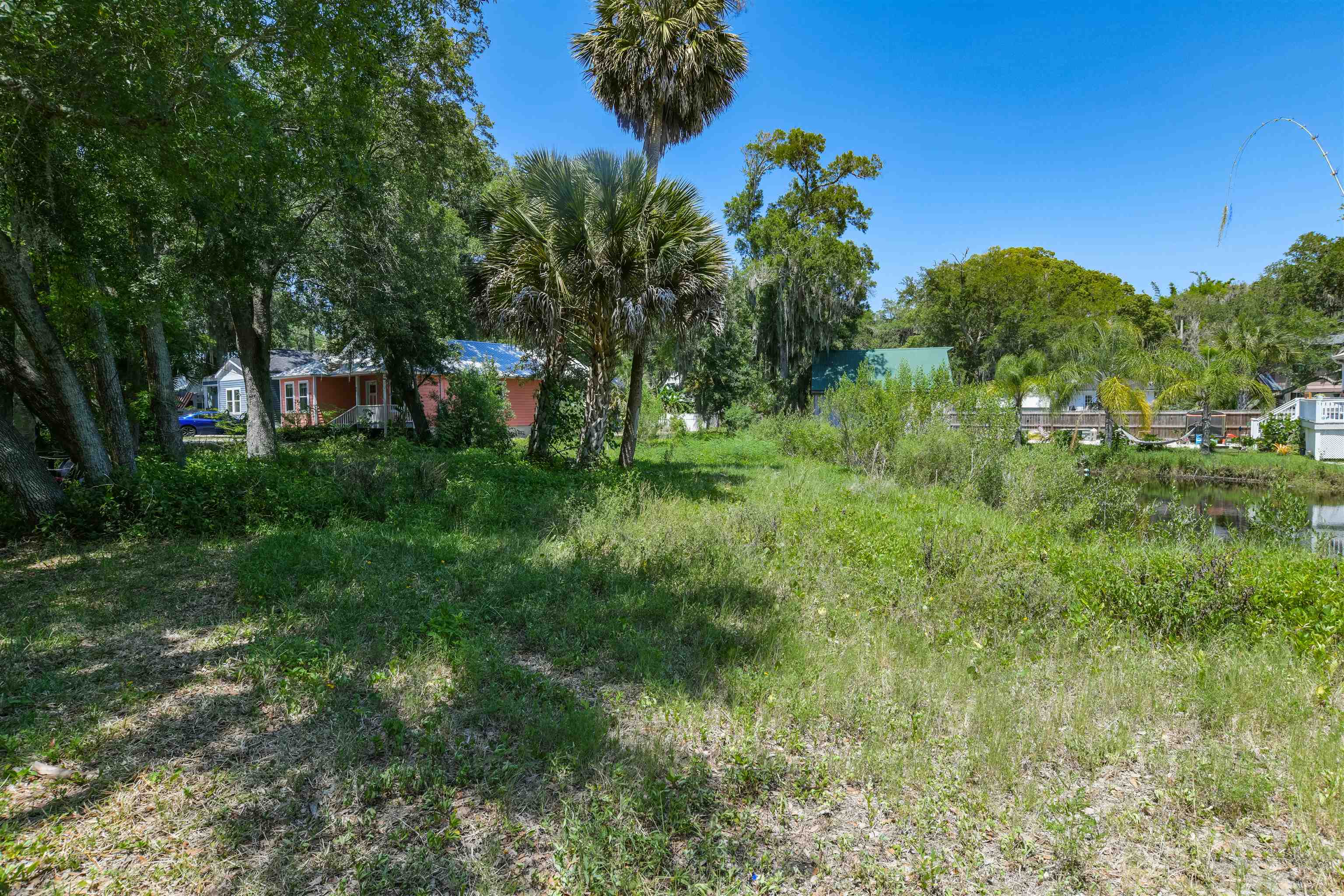 25 Davis Street St. Augustine, FL 32084 - Photo 7 of 13 a view of a big yard with plants and a tree
