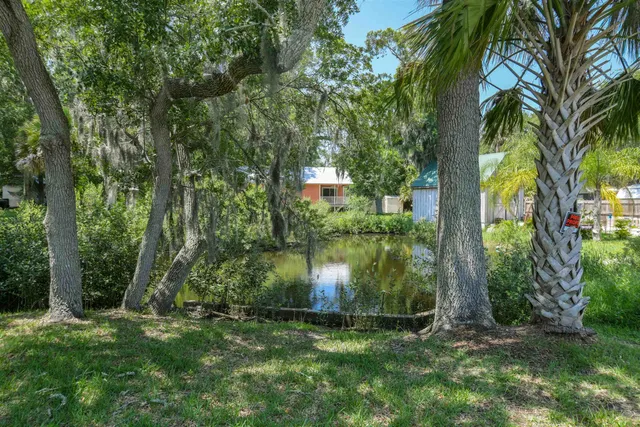 a view of a garden with a tree