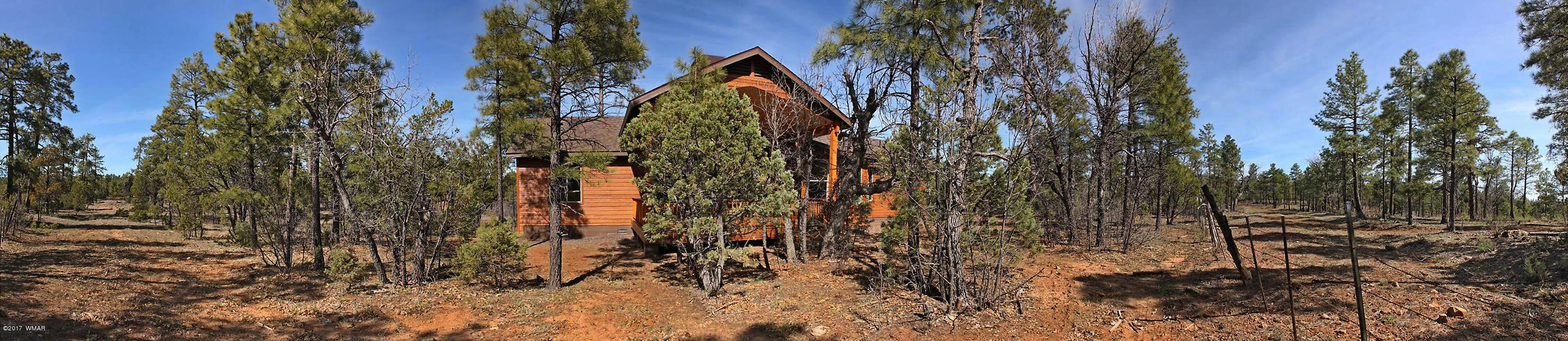 5972 Rim Road Lakeside, AZ 85929 - Photo 35 of 44 Gallery Image 35