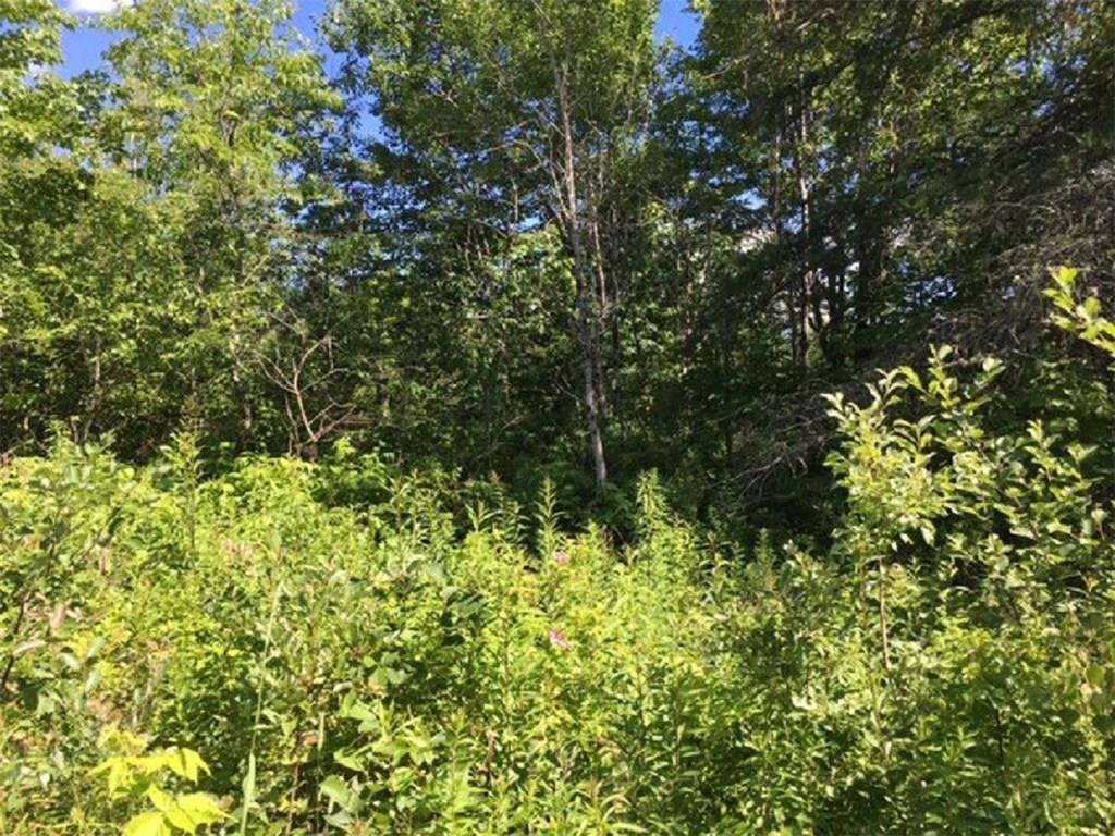 58-3 McArthur Road Alexander, ME 04694 - Photo 2 of 2 Land