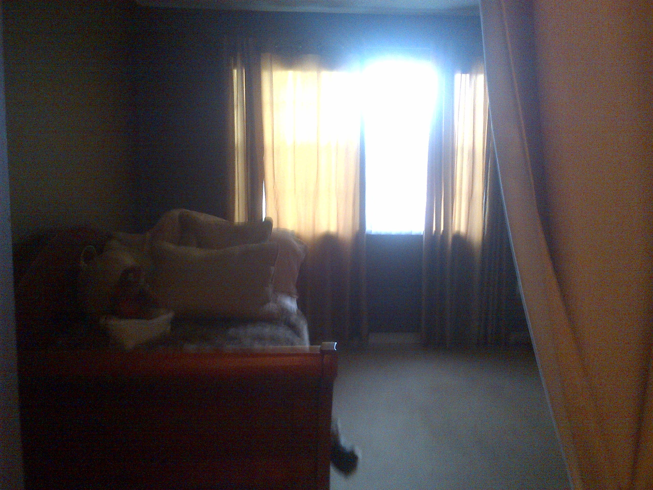 3153 Clint Moore Road, Unit 205 Boca Raton, FL 33496 - Photo 7 of 14 Bedroom 2