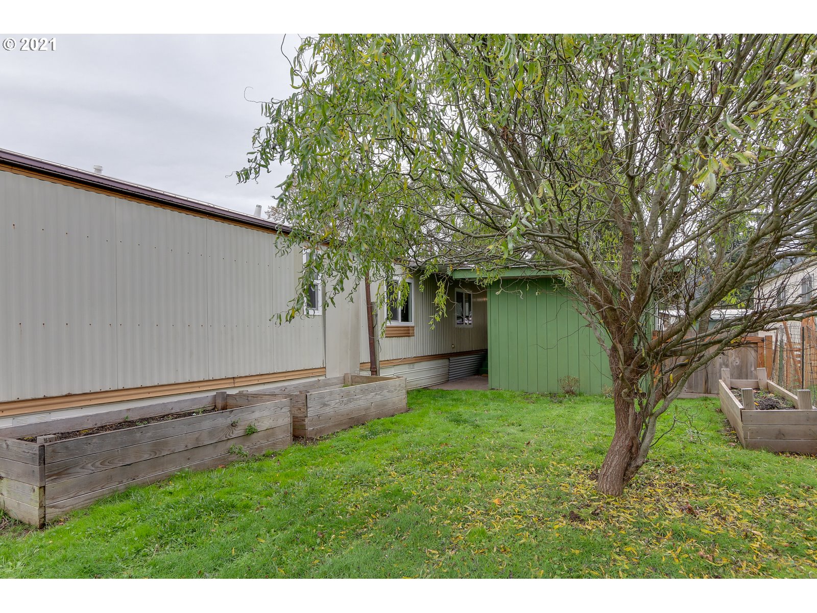 7080 Thurston Road, Unit SP 12 Springfield, OR 97478 - Photo 21 of 22 a view of a backyard with a large tree