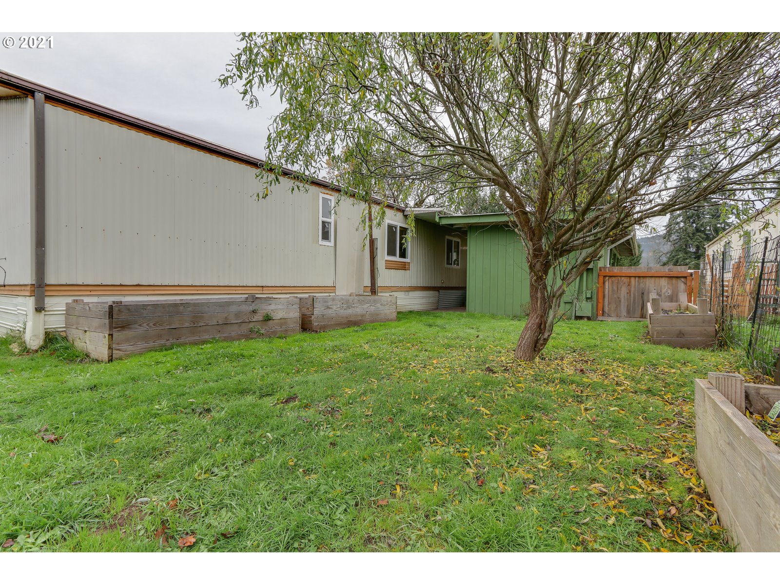 7080 Thurston Road, Unit SP 12 Springfield, OR 97478 - Photo 22 of 22 a view of a backyard with a large tree