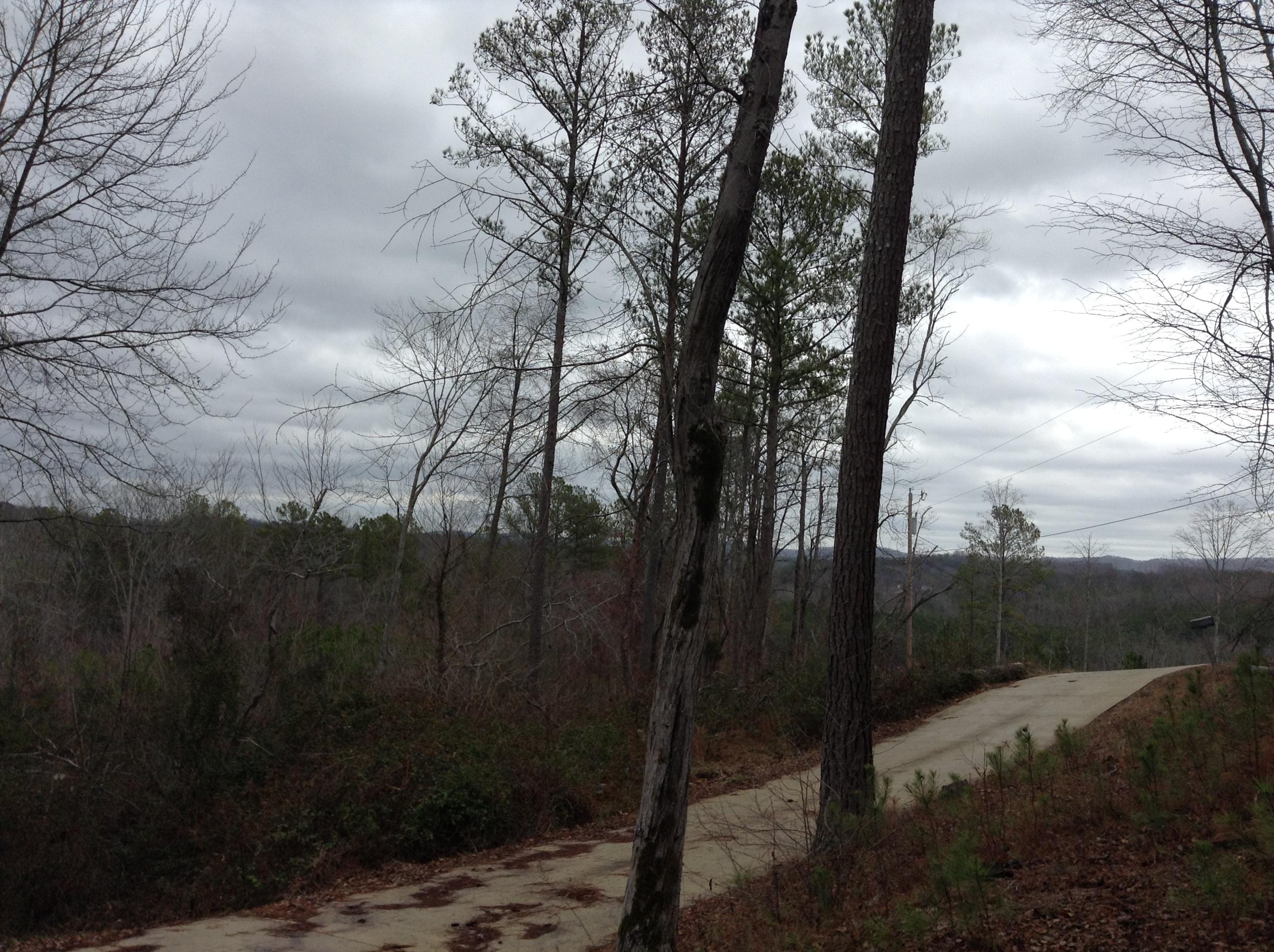 154 Cicero Road LaFayette, GA 30728 - Photo 11 of 30 Concrete Drive