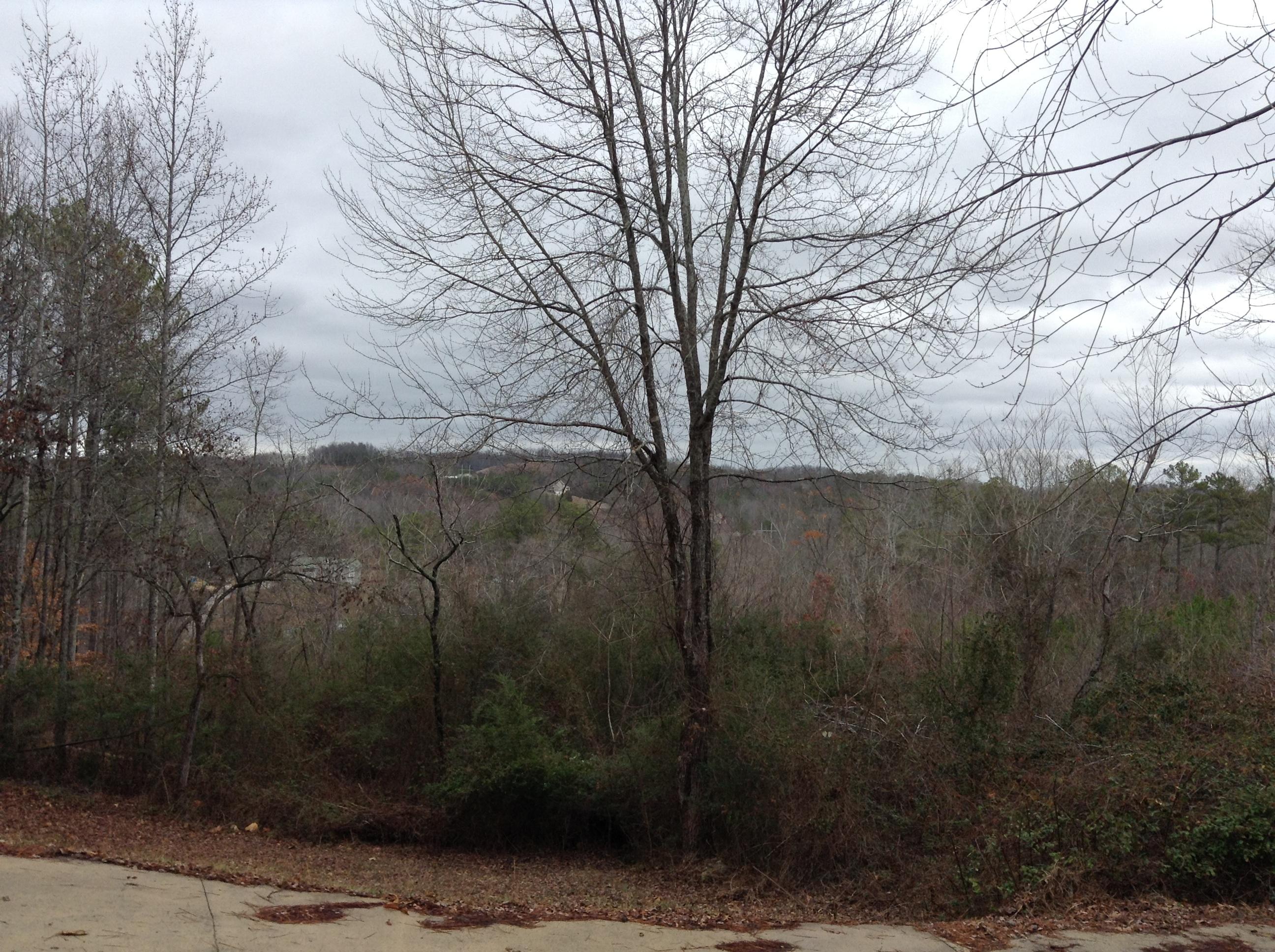 154 Cicero Road LaFayette, GA 30728 - Photo 27 of 30 view
