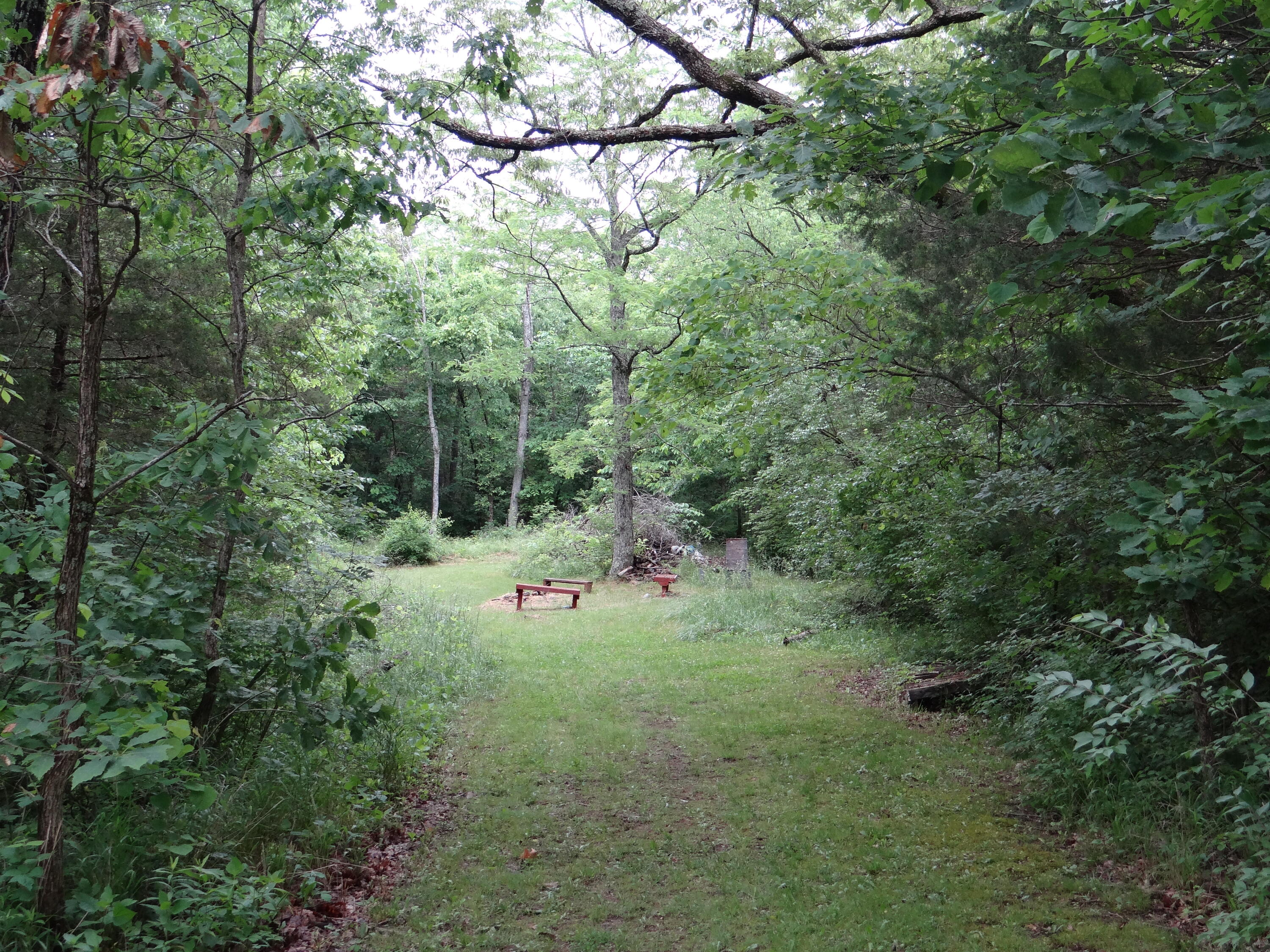 305 Hinton Cemetery Road Sadieville, KY 40370 - Photo 22 of 24 DSC02913