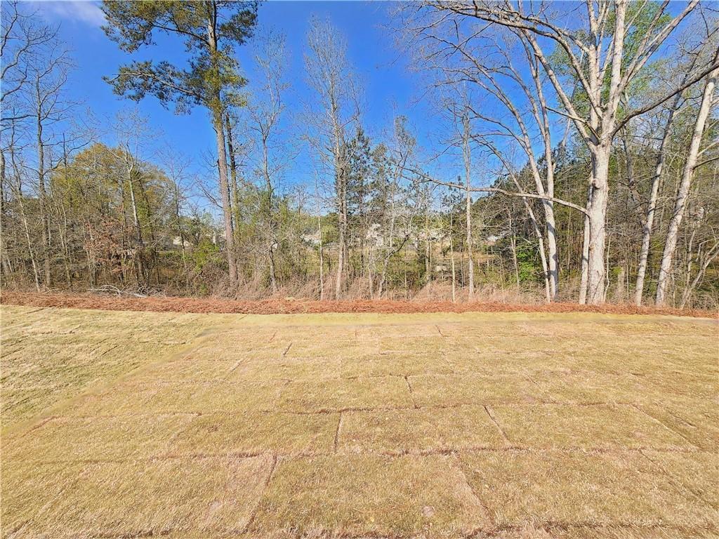 120 Silverleaf Trail Bethlehem, GA 30620 - Photo 29 of 45 a view of large yard