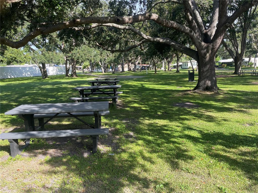 8307 Nancy Lane Ellenton, FL 34222 - Photo 45 of 56 a view of a park with large trees