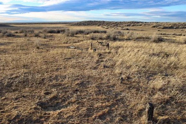 $289,900 | Belt Buckle Boulevard, Casper, WY 82601