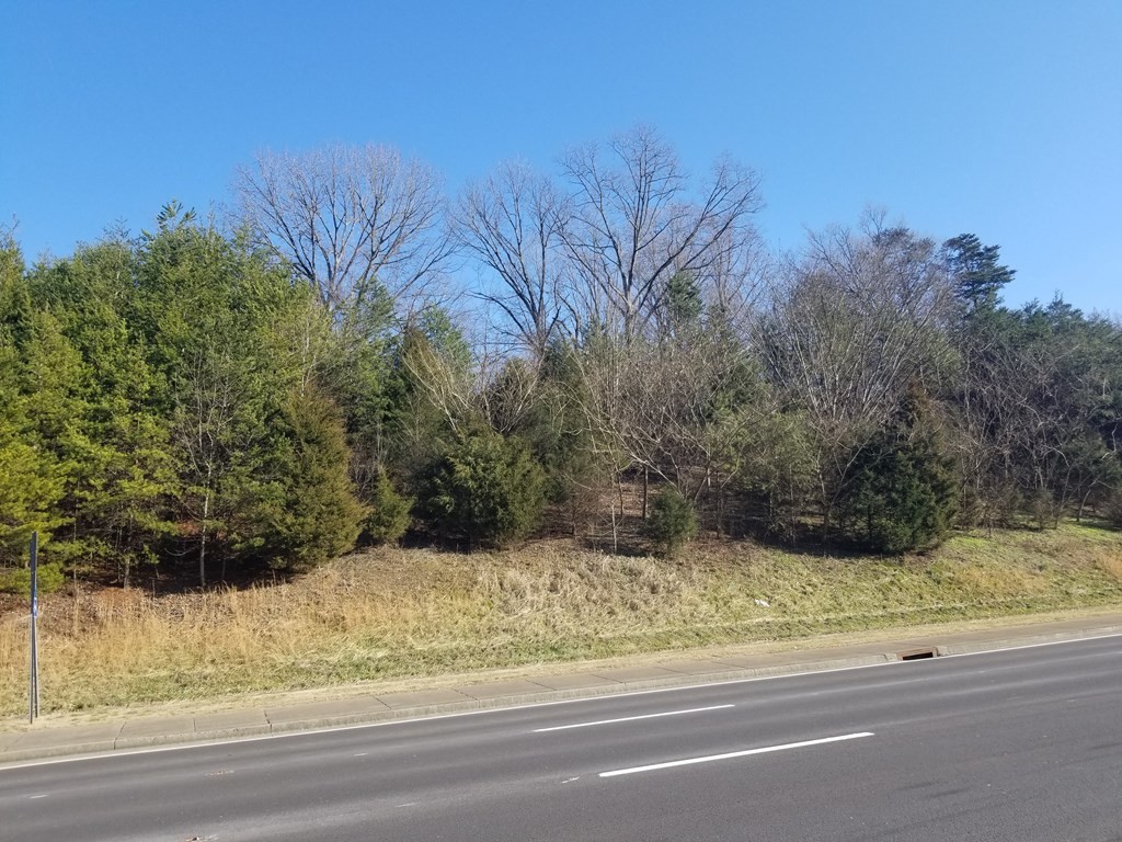 0 Center View Road Pigeon Forge, TN 37862 - Photo 17 of 19