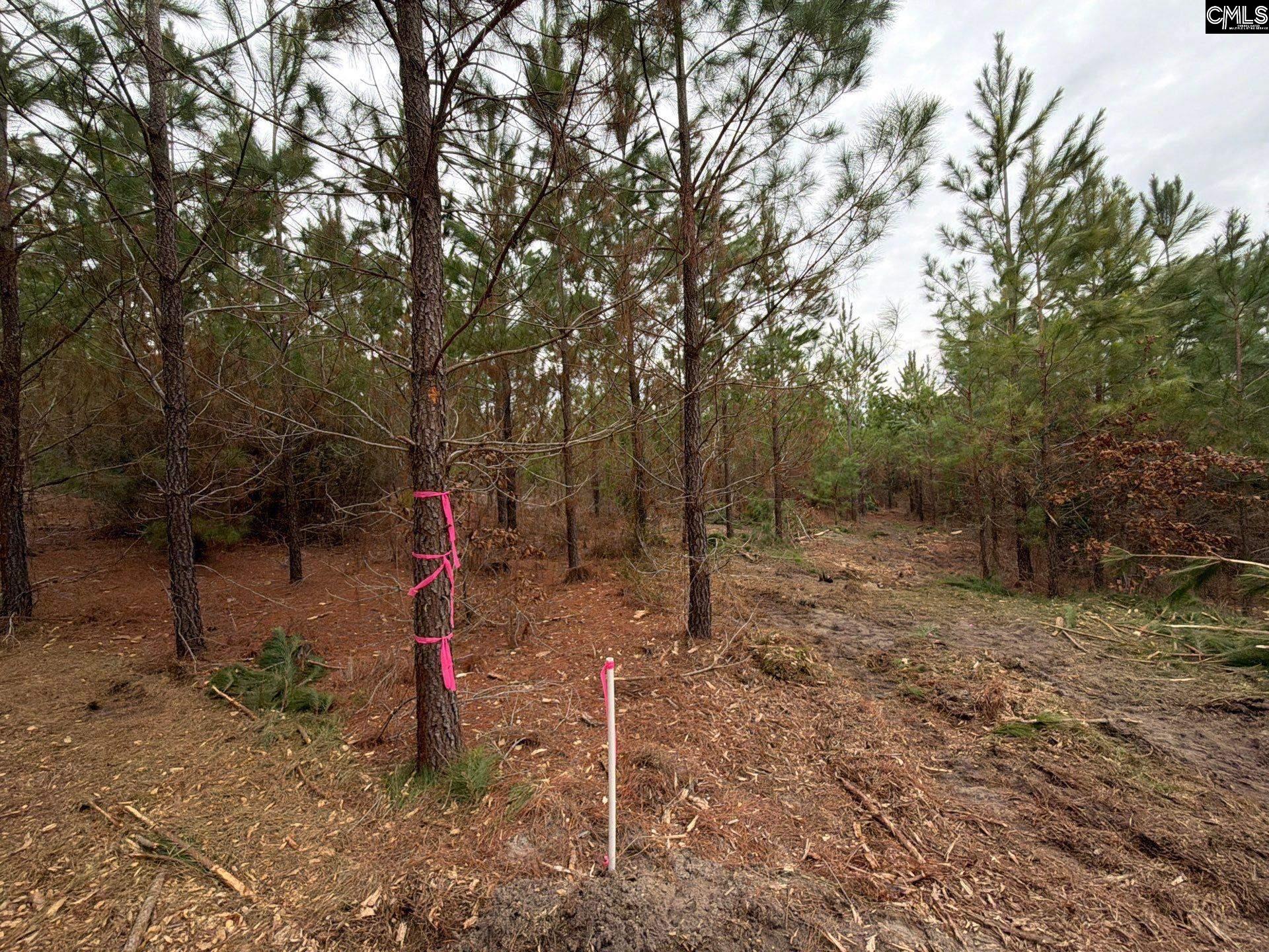4 Jc Barefoot Road, Unit BFF II 4 Patrick, SC 29584 - Photo 31 of 32