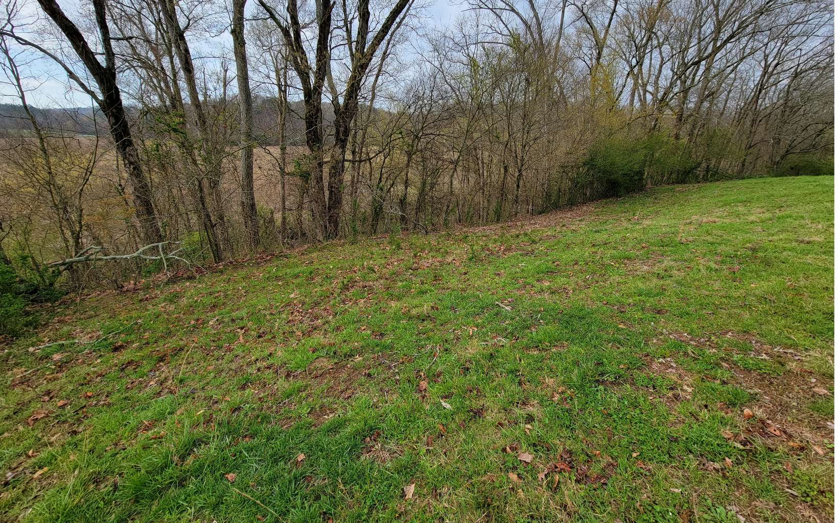 306 Rhinehart Drive Ranger, GA 30734 - Photo 23 of 41 Additional View