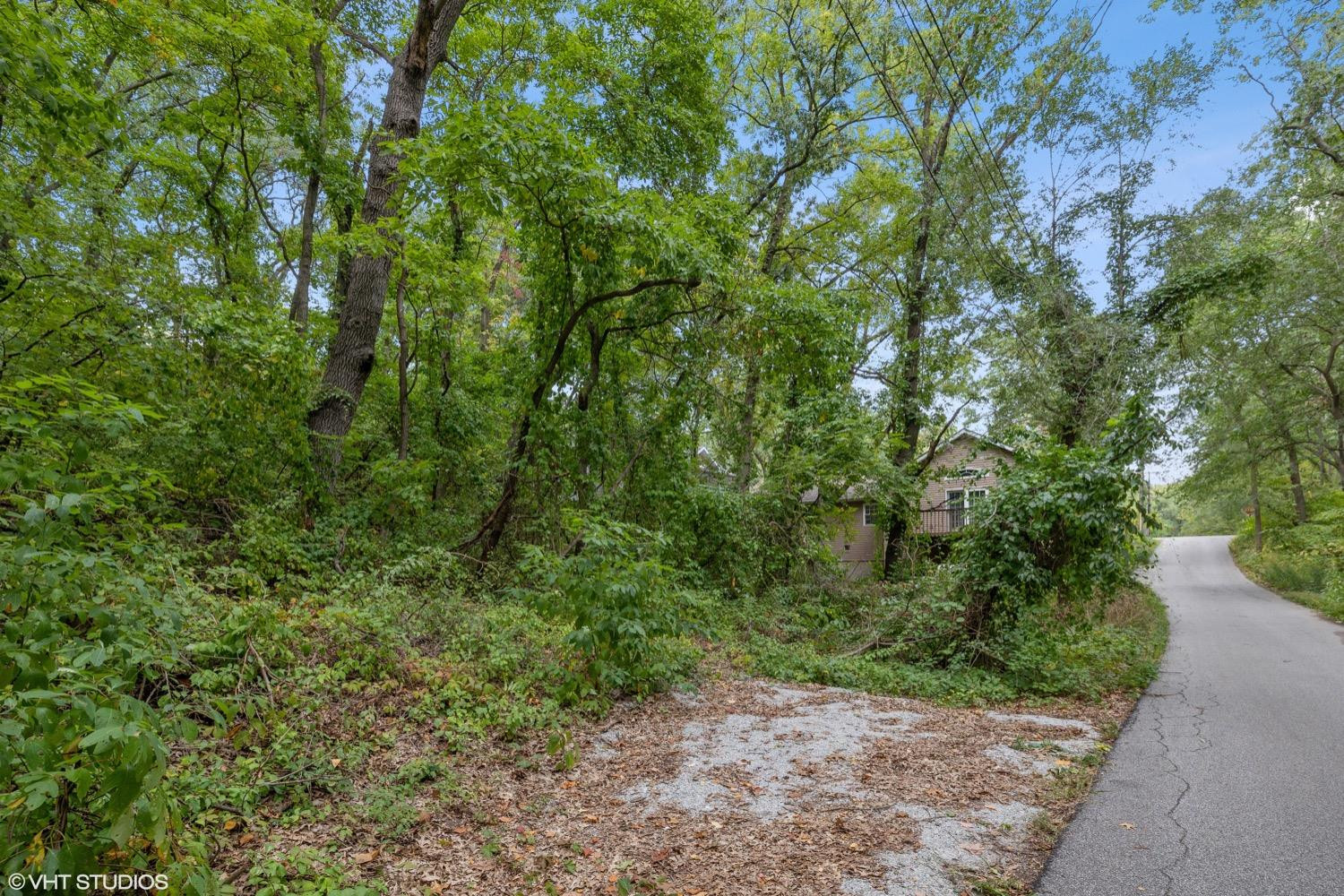 0 Roskin Road Porter, IN 46304 - Photo 2 of 14 a view of a forest with trees in the background