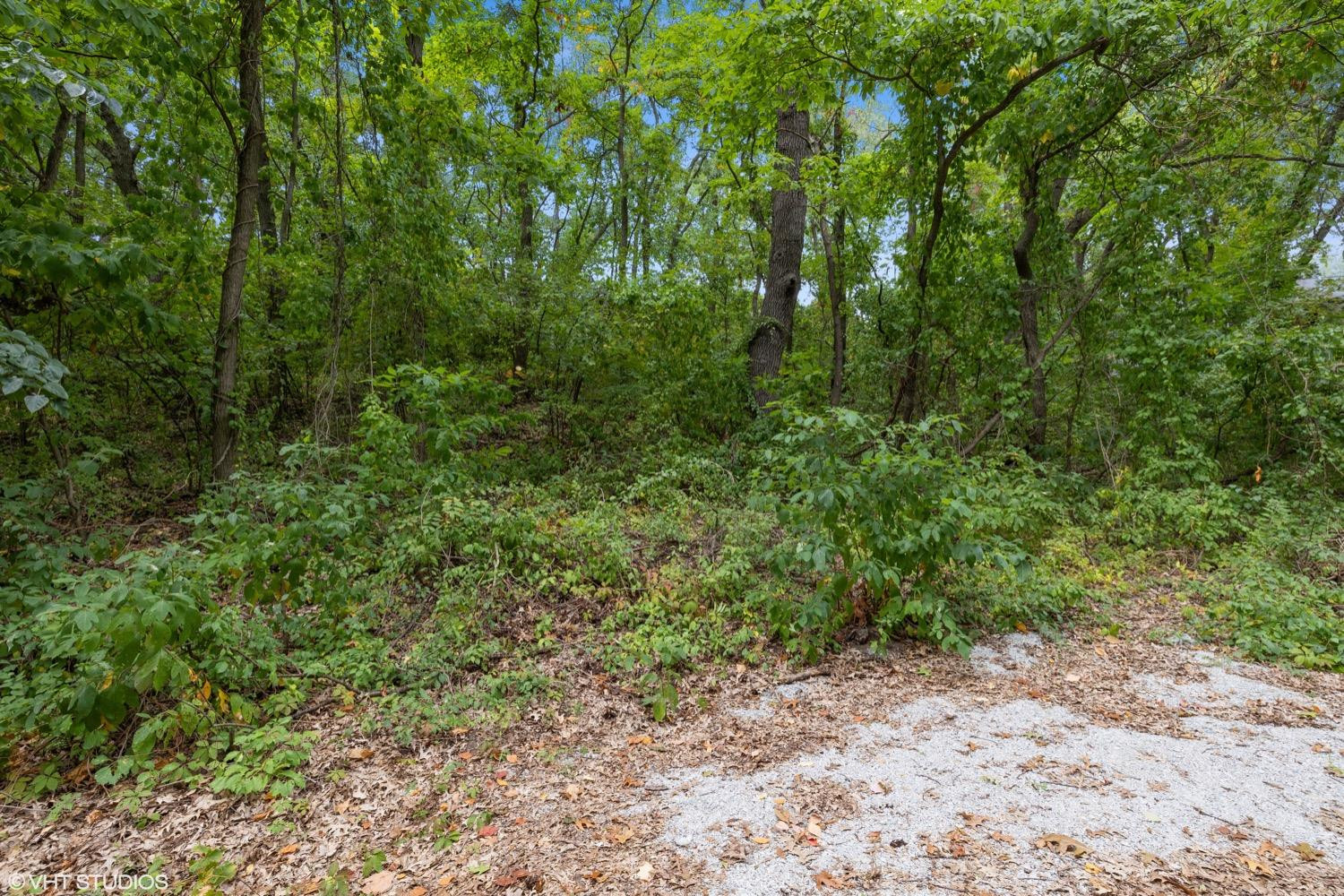 0 Roskin Road Porter, IN 46304 - Photo 5 of 14 a view of a forest with trees in the background