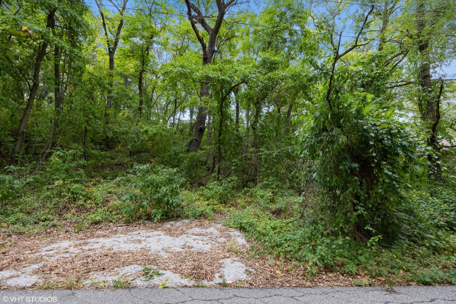 0 Roskin Road Porter, IN 46304 - Photo 6 of 14 a view of a lush green forest